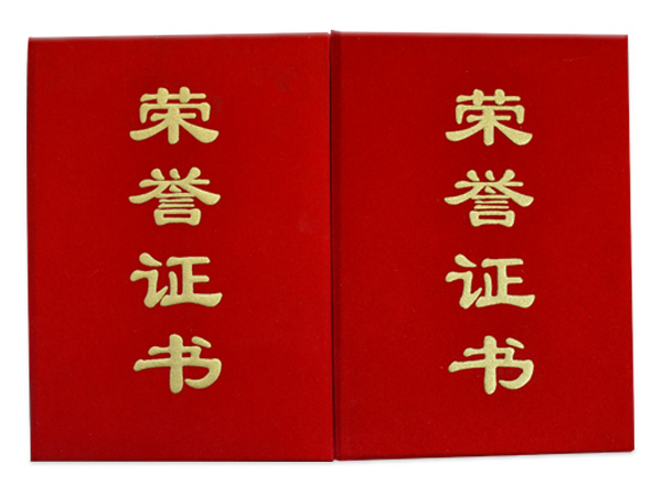 駿宇榮譽(yù)證書(shū)